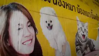 Kaow-Fu Diary EP.1