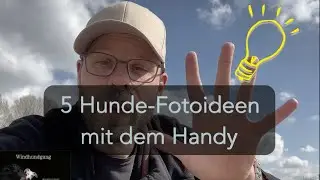 Hunde mit dem Handy fotografieren - Fünf Fotoideen mit dem Smartphone
