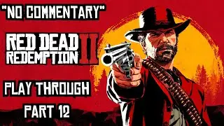 RED DEAD REDEMPTION 2 story Gameplay | Part 12 (No Commentary)