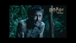 Hedwig's Theme | Harry Potter | Albert Wilson | Remake