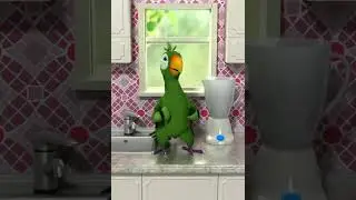 Pierre Música Boa 44