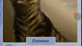 Кто ты из предводителей по знаку зодиаку?