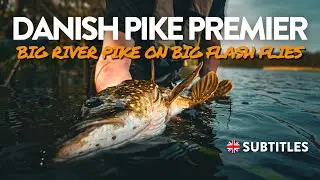 FLYFISHING FOR BIG PIKE - River-Pike from the biggest river in Denmark!