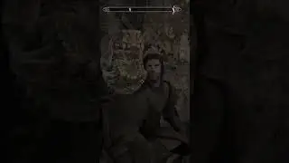 Skyrim NPCs are so calm remastered  