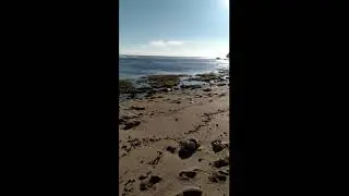 Nyang Nyang beach апрель 2020