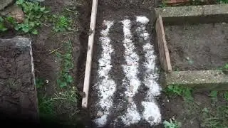 Земли МАЛО? Посадка картофеля на 