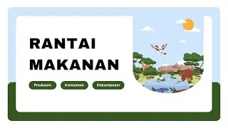 3 Rantai Makanan dan Penjelasannya #rantaimakanan #pemangsa #hewan