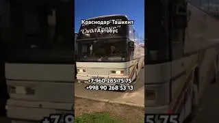 Краснодар Ташкент автобус, Ростов-на-Дону Ташкент автобус, Ташкент Краснодар автобус, Саратов