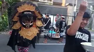 Kedatangan Barong Babi 😱