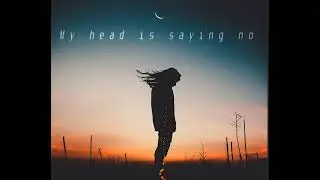 My head is saying no my body's saying yes - EDM Song