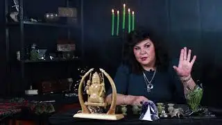 How to Attract Money into Your Life | Advice from Nadezhda Shevchenko