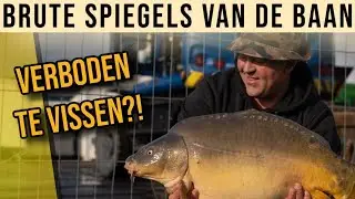 BIZAR MOOIE SPIEGELS OP DE BOSBAAN!