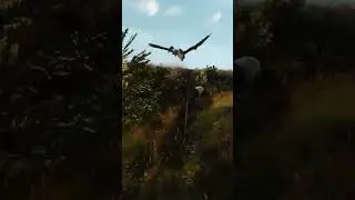 Ведьмак 8 уровня и Гриифон 25, макс сложность! Через знаки прокачка! 