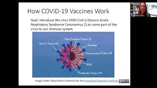 A (Very) Brief Introduction to the Science of COVID-19 Vaccines
