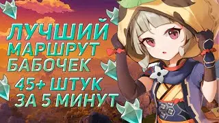 Лучший маршрут сбора бабочек | Genshin Impact