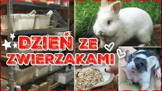 DZIEŃ ze Zwierzakami🐾 MYSZY🐭KRÓLIKI🐰 w Lesie!🌲