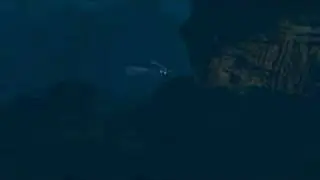 Storm: Galleon