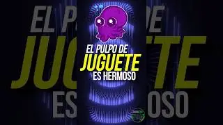 El PULPO DE JUGUETE: ROSSIA PACIFICA. #animales #pulpo #pulpos #calamar