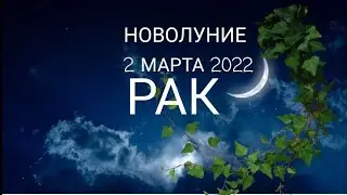 РАК 2 ФЕВРАЛЯ 🌙НОВОЛУНИЕ