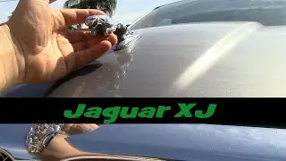 США Флорида/ Моя новая машина на каждый день/ Jaguar XJ8 / тест обзор