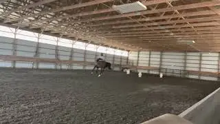 Swish Learning to be handy￼
