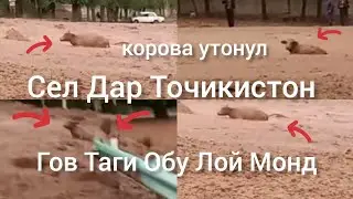 Сел дар Точикистон ДУОГУ БОШЕД ДУСТОН