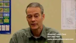 Why Choose Emerald Lawn Care?