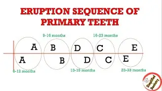 Eruption Sequence of Primary and Permanent Teeth