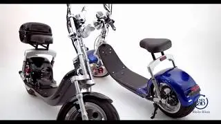 Bleile Bikes Citycoco