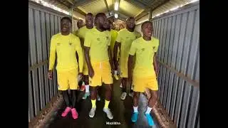 Black Leopards 🐆