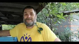 Как не старайся, без трутовки не обходится.
