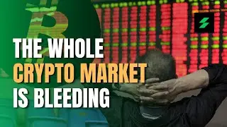 Red Ocean Across The Market | BTC, ETH, BCH, ZEC, MATIC Analysis