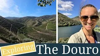 DISCOVERING PORT | Where Your Wine Comes From Series 🍷
