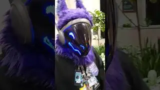 What's a Partial Fursuit? 