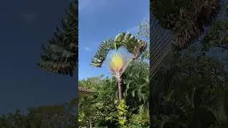Join Catherine for a Tour of this Lovely Villa in El Valle, Panama!  