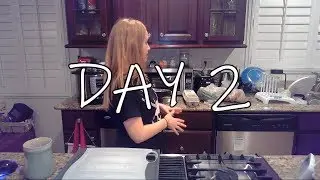 Baby Food 2018 VLOGMAS DEC 2
