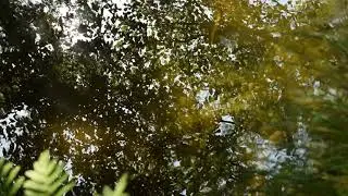 The most relaxing sound in Earth – Part I