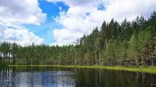 Поездка на Лужский полигон