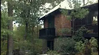 Dream House
