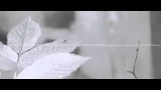 Mapps - Don´t hold on (Instrumental)