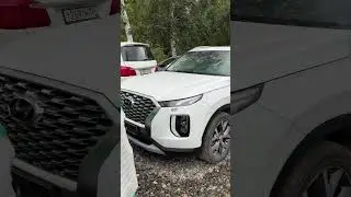 Пришел палисад в Новосибирск