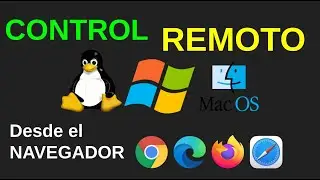 Control remoto windows macos y linux desde el navegador DWService