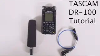 TASCAM DR-100 III Quick Tutorial
