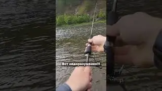 А что было у вас на рыбалке? Пиши в комментариях #спиннинг #рыбалка