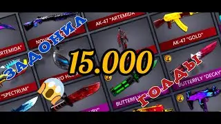 ЗАДОНАТИЛ 15.000 ГОЛДЫ + ПАСС В ПОЛИВАР/POLYWAR