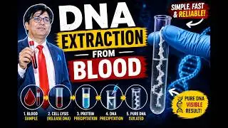 DNA extraction from Blood Through Kit Method
