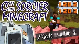 Mise à jour 1.20.2 et 1.20.3 - C'EST PAS SORCIER MINECRAFT