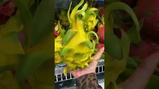 Покупаю три вида драгон фрута. Самый инопланетный на вид фрукт 