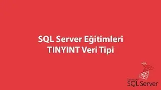 SQL Server'da TINYINT Veri Tipi