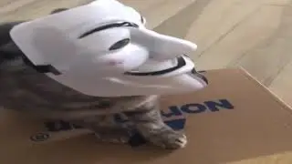 он смог отказаться от снюса
